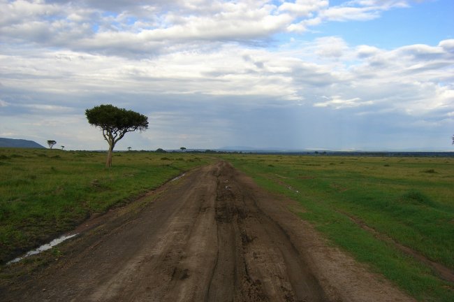 Dirt Road 