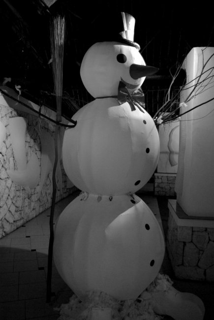 Frosty 