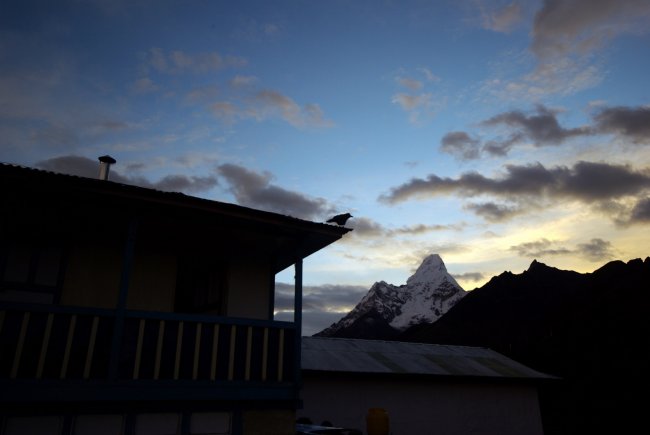 Early Morning 