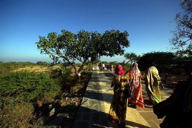 The Road Down From Shatrunjaya 