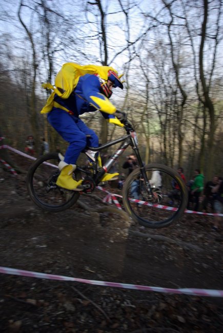 Bananas Can Fly 